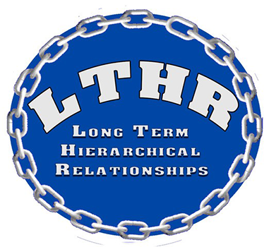 Long Term Hierarchical Relationships
